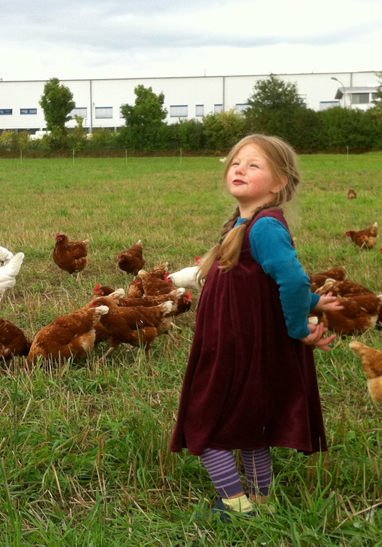 Kleines Mädchen auf einer Wiese mit Hühnern